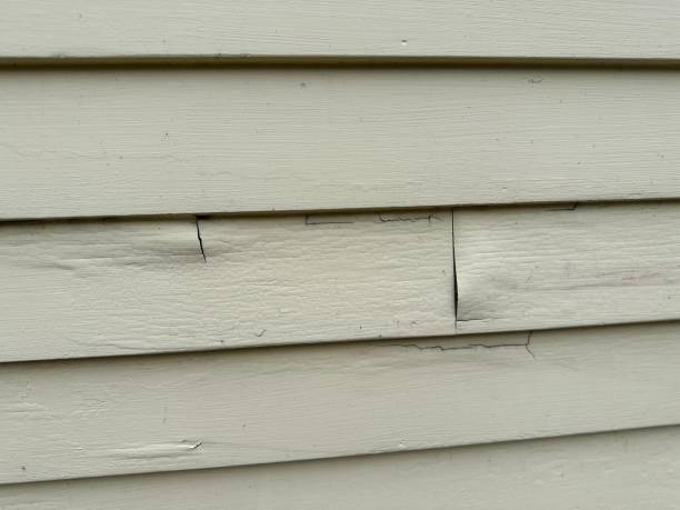 Siding Removal and Disposal in Elkhart, TX